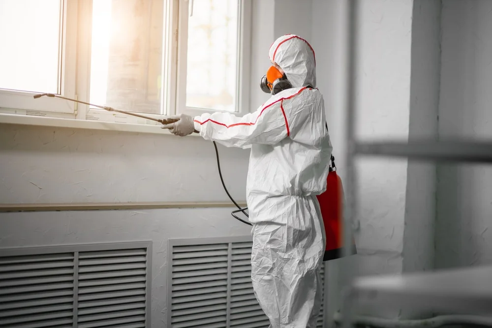 Professional mold remediation services in West Haven, CT